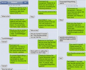 cat-facts-prank